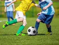 Mk,集团股份有,限公司,OD体育官方,OD体育在线官网,OD体育线上,OD体育APP