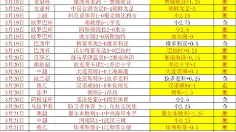 新疆文化代表团赴埃及展成就风采