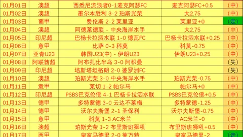 大乐透期号专家质合分析推荐前区十码：阿联酋超艾因对迪拜祈祷